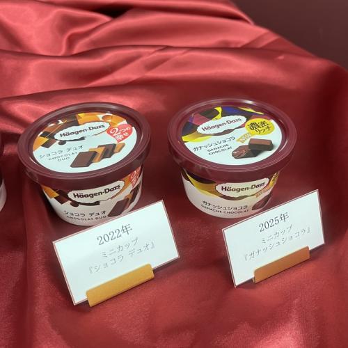 ハーゲンダッツのガナッシュショコラ⑤