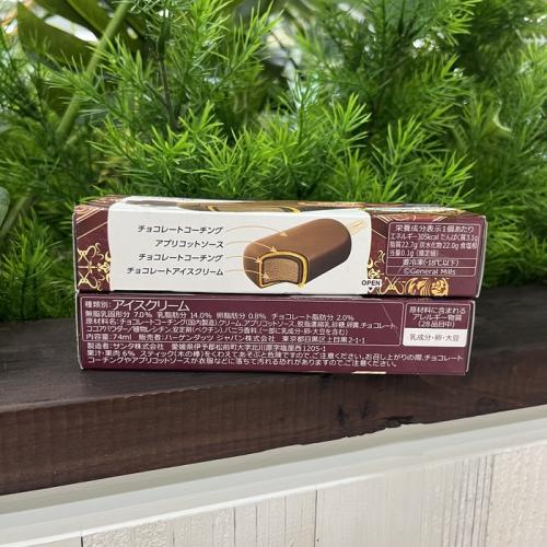 ハーゲンダッツのザッハトルテ⑧