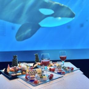 シャチを眺めながら 「ストロベリースイーツブッフェ」神戸須磨シーワールド