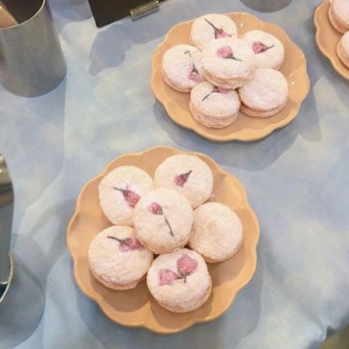 都ホテル京都八条 いちごとさくら③