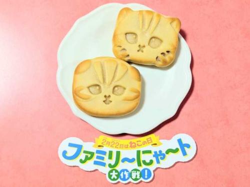 ファミマのファミリ~にゃ~ト大作戦!⑩