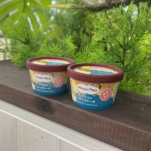 ハーゲンダッツのブリュレチーズケーキ⑦