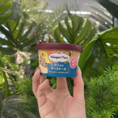 ハーゲンダッツのブリュレチーズケーキ③