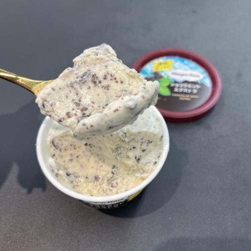 ハーゲンダッツのショコラミント エクストラ⑦