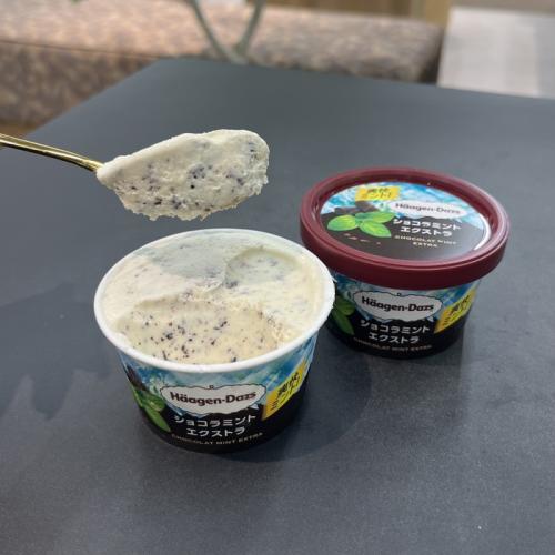 ハーゲンダッツのショコラミント エクストラ⑤