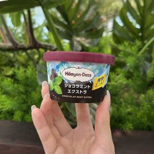 ハーゲンダッツのショコラミント エクストラ②