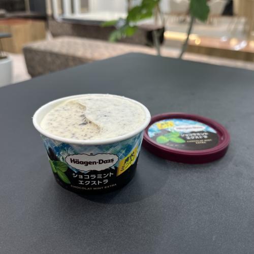 ハーゲンダッツのショコラミント エクストラ④