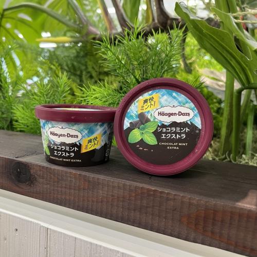 ハーゲンダッツのショコラミント エクストラ①