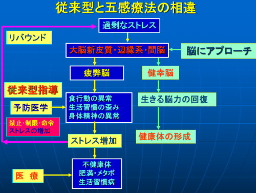 横倉先生のインタビュー⑦