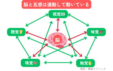 横倉先生のインタビュー⑤