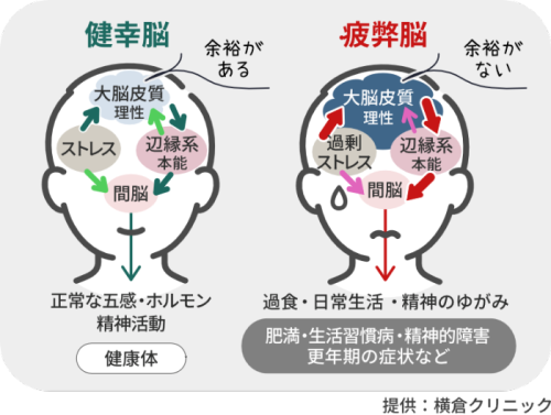 横倉先生のインタビュー②