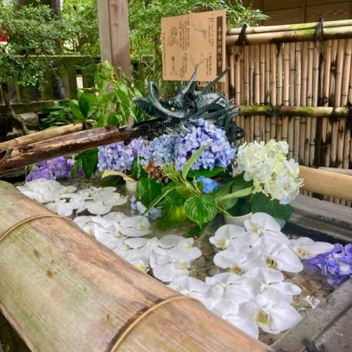 今宮神社の花手水<br /> 