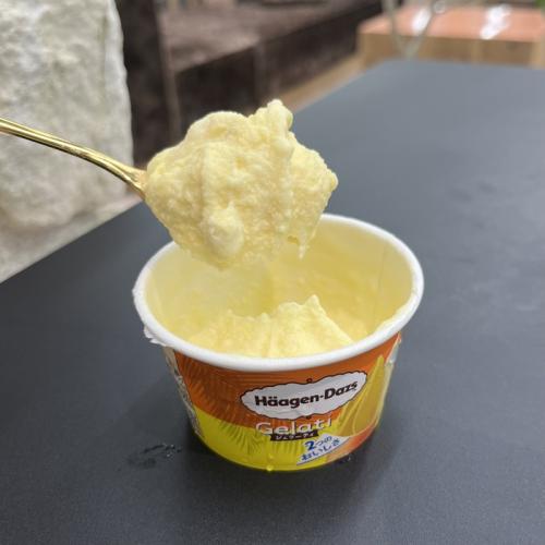 ハーゲンダッツの<br /> Gelati⑭