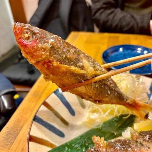 はりくやまくのグルクン2