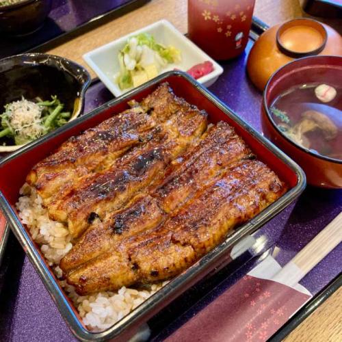志ぶきのうな重