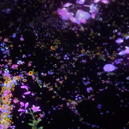 チームラボプラネッツのFloating in the Falling Universe of Flower