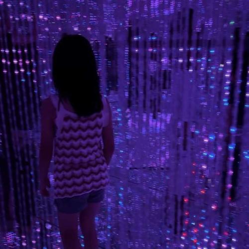 チームラボプラネッツのThe Infinite Crystal Universe