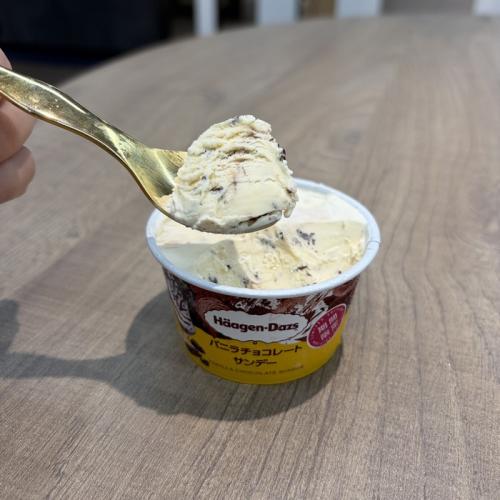 ハーゲンダッツのバニラチョコレートサンデー⑥