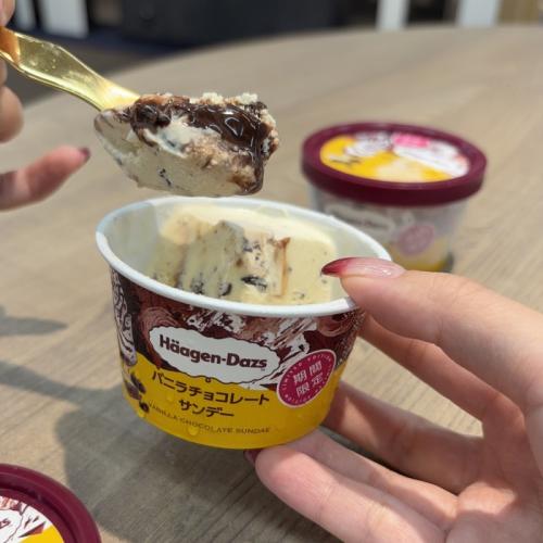 ハーゲンダッツのバニラチョコレートサンデー⑧