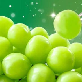 ニラックスブッフェでシャインマスカット食べ放題開催!時間無制限で秋の味覚を満喫