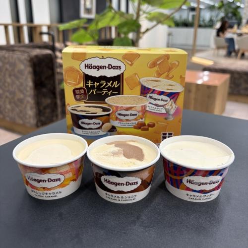 ハーゲンダッツアソートボックスのキャラメルパーティー⑰