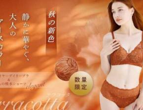 momofulの数量限定テラコッタカラーが登場！機能性と美しさを兼ね備えた総レースのランジェリー