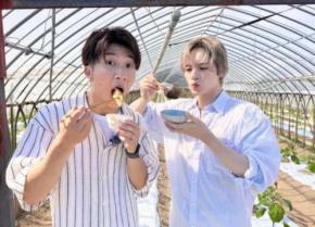 「朝から癒やされまくり…！」WEST.濵田崇裕×キスマイ玉森裕太の“はまたまコンビ”共演に「最高すぎる」とファン大歓喜
