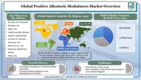 ポジティブアロステリックモジュレーター市場―疾患の種類別（パーキンソン病、統合失調症、アルツハイマー病）、薬物の種類別、エンドユーザー別、および地域別―世界の需要分析と機会の見通し2031年