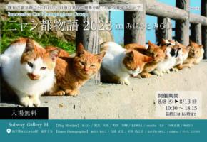 関東・関西の人気猫写真家がみなとみらいに今年も大集合！猫の合同写真展【ニャン都物語2023 in横浜みにゃとみらい】が8月8日～13日に開催