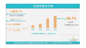 固体電池市場：世界調査レポート、需要、規模、メーカーシェア、成長、動向、見通し（2024年～2033年）