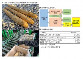 ～これからの長芋流通を支える発泡緩衝材～ 環境に配慮し、ゴミ処理量が大幅削減可能な長芋の新緩衝材の導入について