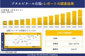 ブタルビタール市場調査レポート - 世界市場規模、シェア、傾向の見通し、2025－2037年