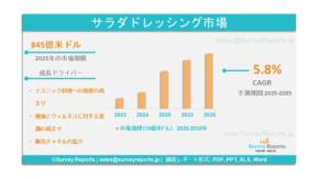 サラダドレッシング市場の需要、シェア、動向、成長、機会および洞察分析、2025年～2035年