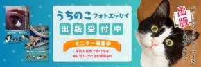 [令和出版]ペットとの思い出を文庫サイズの一冊に「うちのこフォトエッセイ」モニター募集開始のお知らせ
