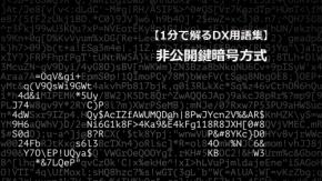 非公開鍵暗号方式/大量のデータ保護に向く暗号技術