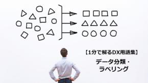 データ分類・ラベリング／情報管理の精度向上