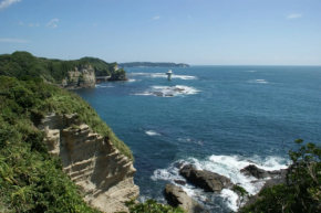 【海洋環境を守る新たな試み】千葉県勝浦市藻場保全対策協議会が始動