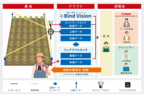【実証開始】愛媛発の挑戦!キヤノンMJが「映像×センサー」で農業DXを加速