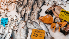 料理人も経理担当も助かる!鮮魚仕入れデータの自動取り込みで業務負担を軽減