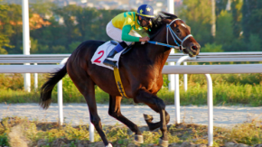 競馬の赤ペン作業はもう不要？AIが配点ルールを再現して当たり方は変わる!?