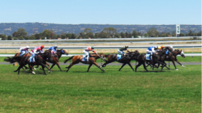 競馬投票がスマホで完結!即PAT×PayPay連携で入金が一段とスムーズに