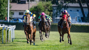 競馬の予想は“任せる”時代に?AIがあなたの思考を学んだら週末の競馬はどう変わる