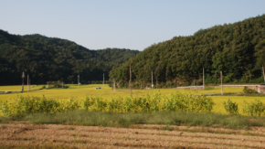 ふるさと納税の基本を総務省が解説 仕組みと控除上限、手続きの流れを正しく理解する