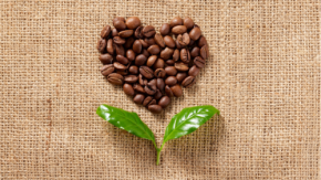 CO2ゼロの「水素焙煎コーヒー」に冷気を逃がさない棚！セブンイレブンに隠された驚きの環境テクノロジー