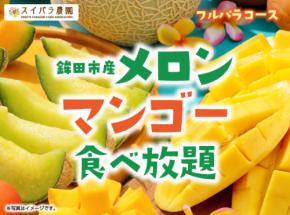 鉾田市産メロン&マンゴー食べ放題!ハーゲンダッツ・イルジェラートやサラダ、ドリンクも100分間食べ放題・飲み放題! 気になる料金は…