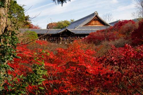 夫婦で京都旅行を計画中。二条城は京都市民「1000円」、市外客「2000円」になるそうですが、同じ施設なのになぜ料金が違う? 観光地で“二重価格”が広がる理由とは