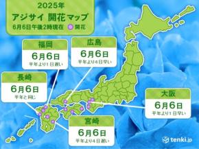 今日6日　大阪、広島、福岡などでアジサイ開花　本格的な雨のシーズン近づく