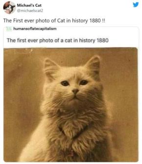 1880年に撮影されたという猫の写真は”世界で初めて撮影された”ものではありませんでした 「Twitterはほんとガセとかデマの巣窟」「なんにせよ可愛いことには違いない」