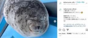 オホーツクとっかりセンターで飼育されているポンすけくんが海外で人気 「世界で一番重要な映像かもしれない」「このInstagramアカウントはフォロー必須だね」
