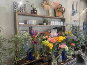 【糸島市・筑前前原】植物も楽しめる素敵カフェ、糸島の新スポット「植物屋」に潜入してきた【ガジェ通糸島編集部】